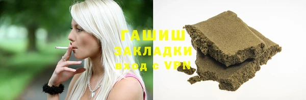 дмт Бородино