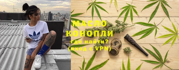 дмт Бородино
