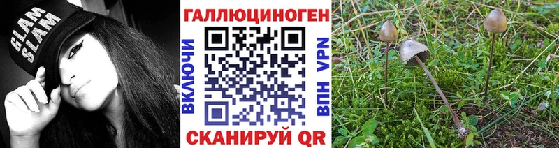 Галлюциногенные грибы GOLDEN TEACHER  даркнет сайт  Палласовка 